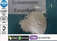 Сильный тест е/порошок Энантате тестостерона стероидный для занимаясь культуризмом дополнений
