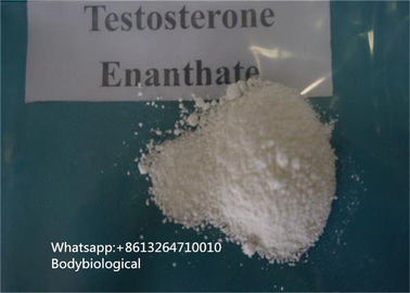 Инкреть секса КАС 315-37-7 стероидов порошка Энантате тестостерона очищенности 99% мужская