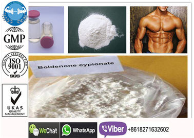 КАС 106505-90-2 Болденоне Сипионате, вводимые дополнения стероидов увеличения мышцы